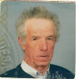 Manuel António Maria da Silva